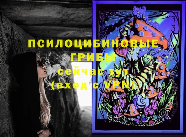 стаф Алексеевка